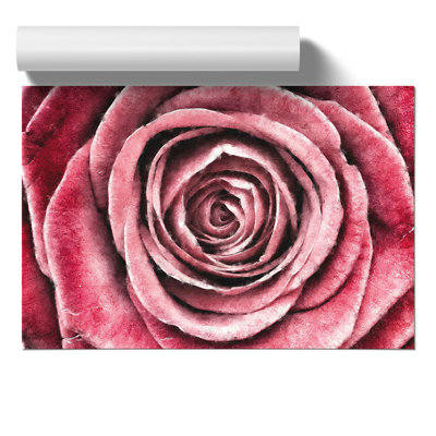 Pink Rose Flower Painting - Frameless Print