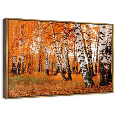 Forêt de bouleaux orange