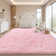 Solid Rug Soft Fluffy Pink Indoor Area Rug for Living Room Bedroom Nursery Kids Room