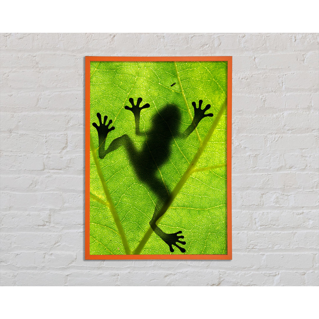 Anestassia Frog Shadow - Einzelner Bilderrahmen Kunstdrucke