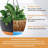 Modern 8 Inch Hanging Pots (4-Pack) - Sleek Round Hanging Planters For Houseplants, Succulents & Flowers - Weather-Resistant Indoor/Outdoor Hanging Baskets (Black)-1825662931-1825662929