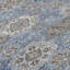 Ziegler 2000 Wool Polka Dots Area Rug in Black
