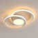 Double 2-Light LED Flush Mount Ceiling Light