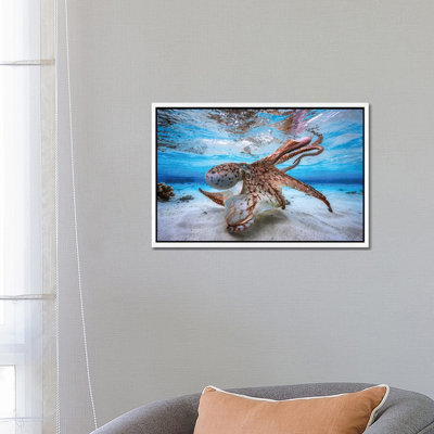 Dancing Octopus by Barathieu Gabriel - Print on Canvas
