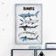 Assortiment de requins, reproduction sur toile tendue-295462864