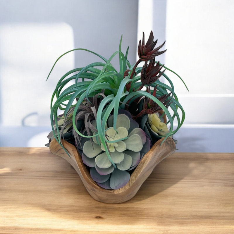 Arrangement de plantes grasses fabriquées à la main | Pièce maîtresse moderne en bois flotté rustique (10 po x 10 po x 12 po)