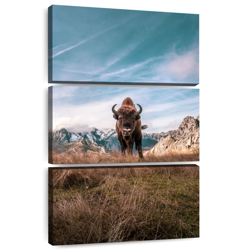 Bison Brampt
