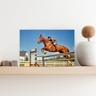 1970S Woman Equestrian On Horseback Jumping Taking A Brown Horse Over An Obstacle Jump Contemporary Horse Animal Wall Art