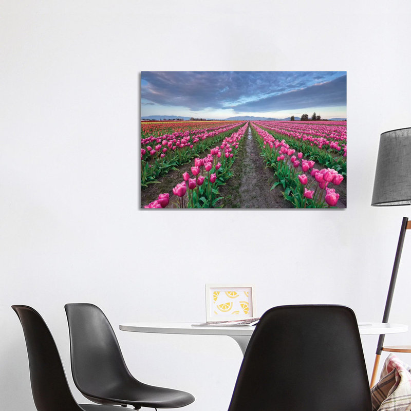 Skagit Bloom, Skagit Valley, Washington 1 Piece Wrapped Canvas Wall Art, 66.04cm H x 101.6cm W x 1.91cm D