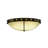 Tibby Acrylic Flush Mount