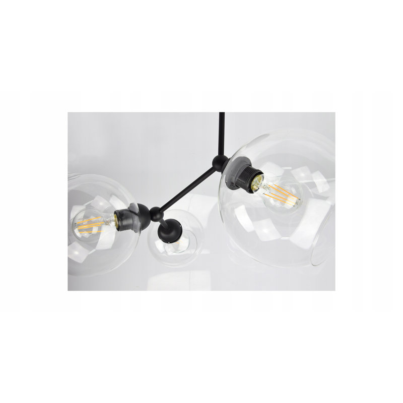 Vann Glass Spotlight