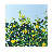 Lemon Tree by Rosalind Wheeler - Painting on Canvas-2091108453-2091108380