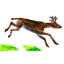 Mule Deer by Eric Carle - Painting on Canvas-1590187591