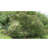 Camouflage Net Fencing