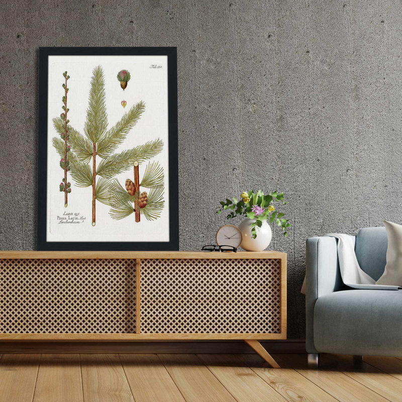 Mélèze botanique par Kelly Donovan - Peinture, L 21,5 po x H 27,5 po, Cadre noir