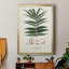 «Botanical Society Ferns III», reproduction encadrée de qualité supérieure - prête à être accrochée-88261602-88261603