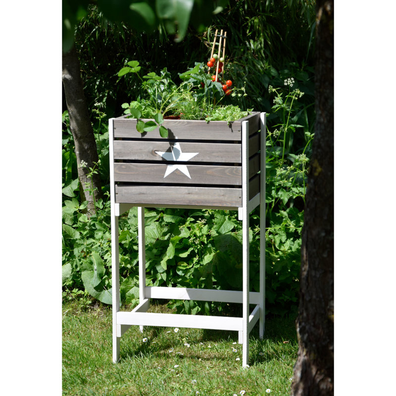 Aakil Wood Raised Garden Bed