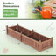 Boîte à fleurs rectangulaire en bois pour jardin surélevée avec trous de drainage Arlmont & Co.