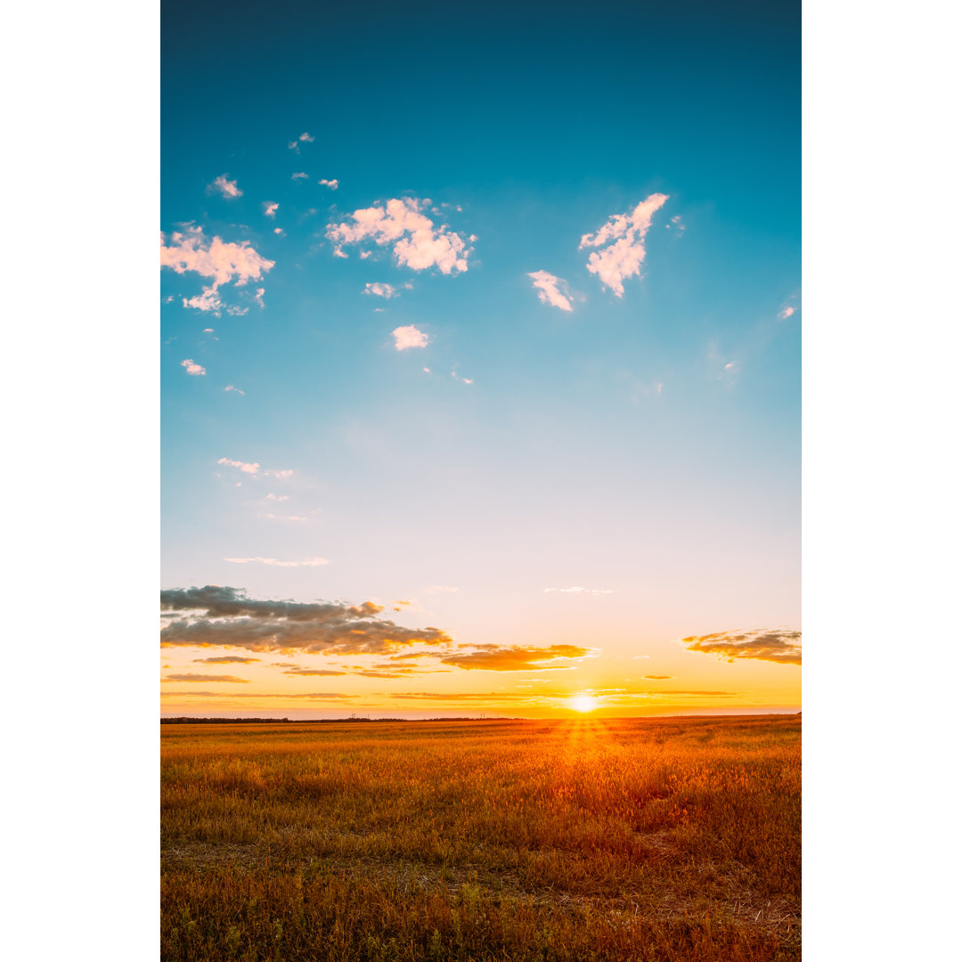 Feld im Sonnenuntergang - Druck