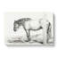 A Horse In A Stable by Jean Bernard - Wrapped Canvas Print-55368022