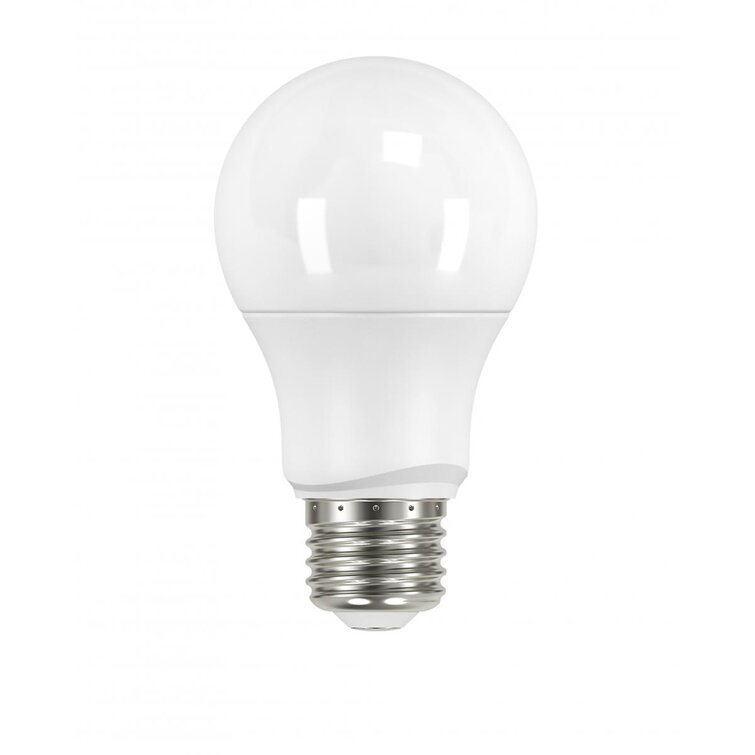 Roderick 6 Watt (40 Watt Equivalent), A19 LED, Non-Dimmable Light Bulb, E26/Medium (Standard) Base
