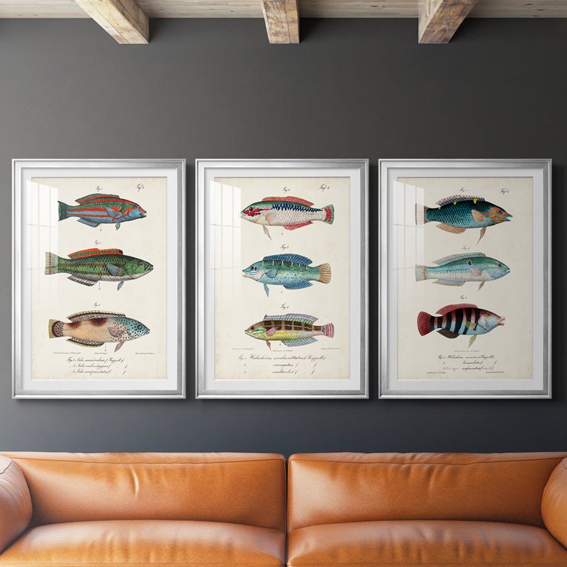 Antique Fish Trio I - Impression personnalisée de qualité supérieure avec cadre mat - 3 pièces, Argent argent
