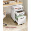 Annya 2 Drawer Filing Cabinet-109487379