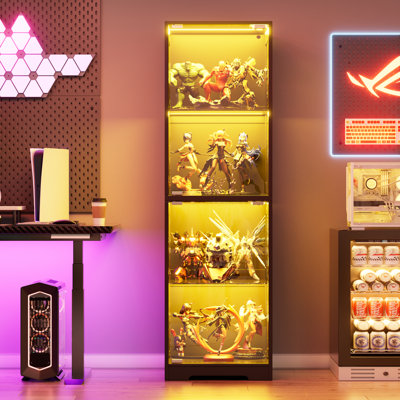 Display Cabinet