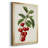 " Antique Fruit II "-691204004-691204003