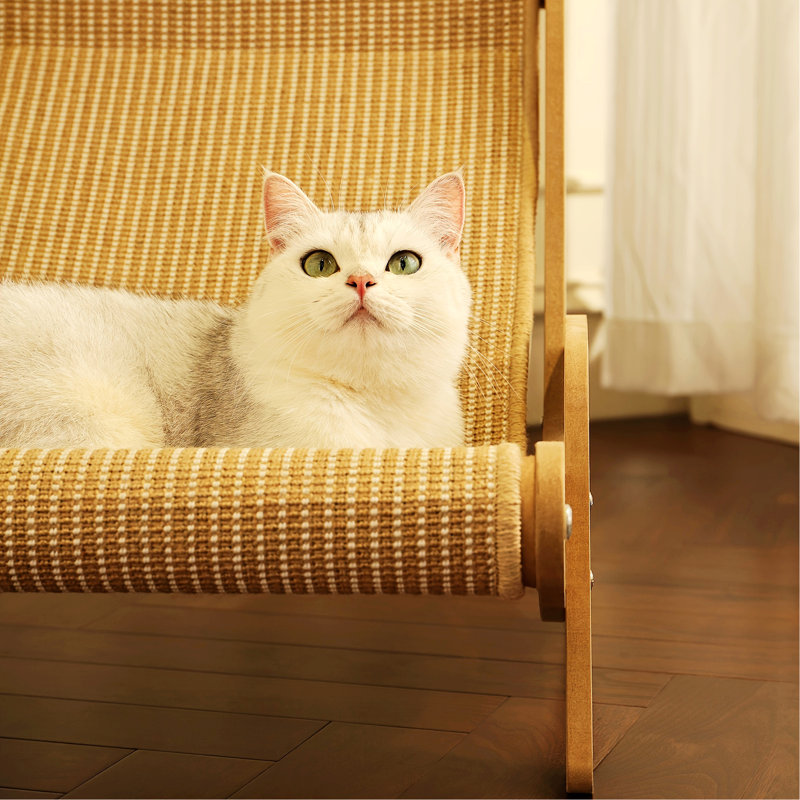Cat Hammock Lounger with A Scratch Pad