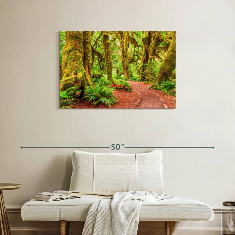 Mossy Hoh Rainforest Trees, H 24 po x l 36 po