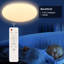 Ceiling light