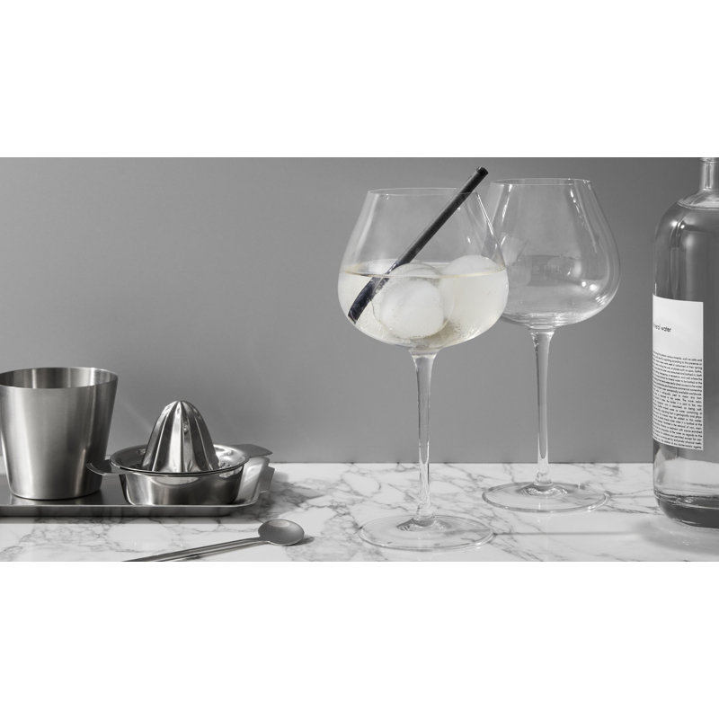 Aroma Copa Gin Balloon Glass