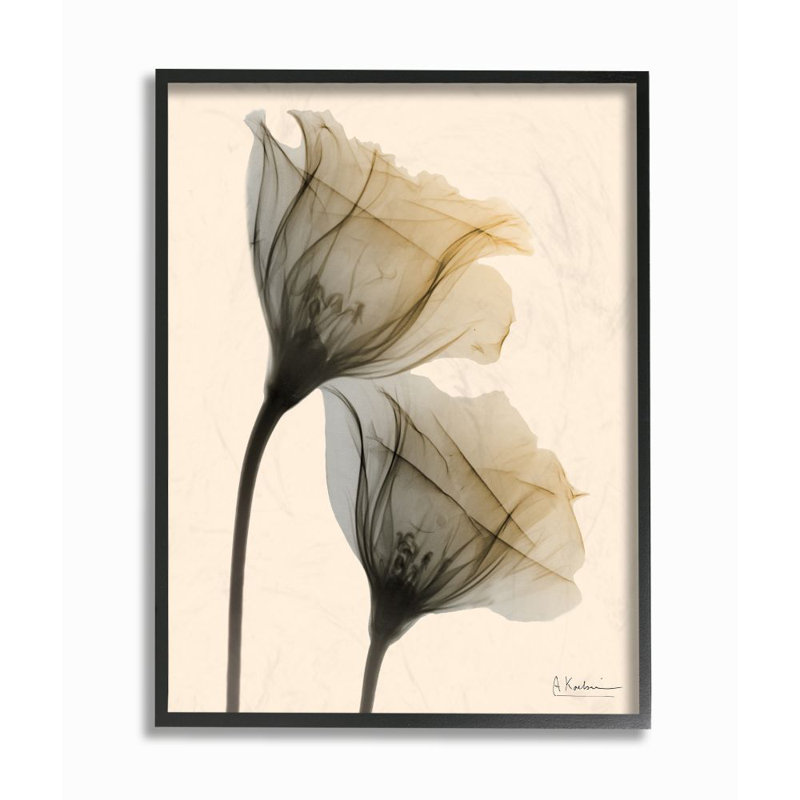 «Neutral Light Flower» par Albert Koetsier - reproduction de photo, H 14 po x l 11 po x P 1,5 po, Giclée encadrée noir minuit