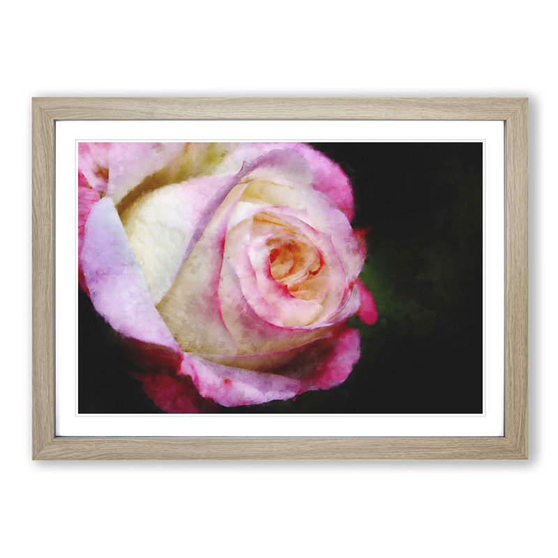 Pink Tipped Rose - Picture Frame Graphic Art Print, Oak, 62cm H x 87cm W x 2cm D