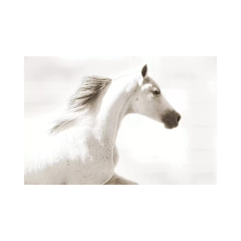 Dash by Kari Brooks - Wrapped Canvas Gallery-Wrapped Canvas Giclée, 66.04 cm H x 45.72 cm W x 1.91 cm D