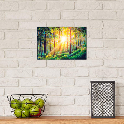 Beautiful Sunny Forest Landscape. by Valery Rybakow - Wrapped Canvas Painting
