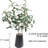 Artificial Olive Branches