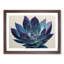 Watercolour Succulent Plant Vol.3 - Framed Print-1922336864-1922336868
