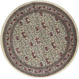 Wool Oriental Area Rug in Ivory