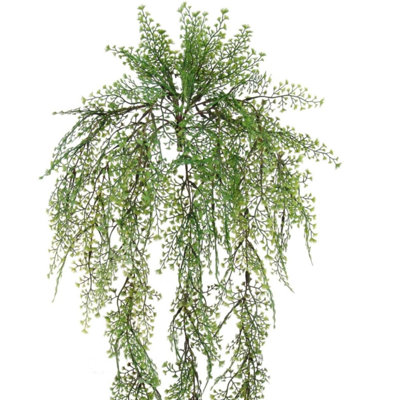 Ensemble de 12 plantes 12 pièces