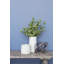 Epworth Ceramic Pot Planter