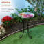 Bain d'oiseaux libellule-74213259