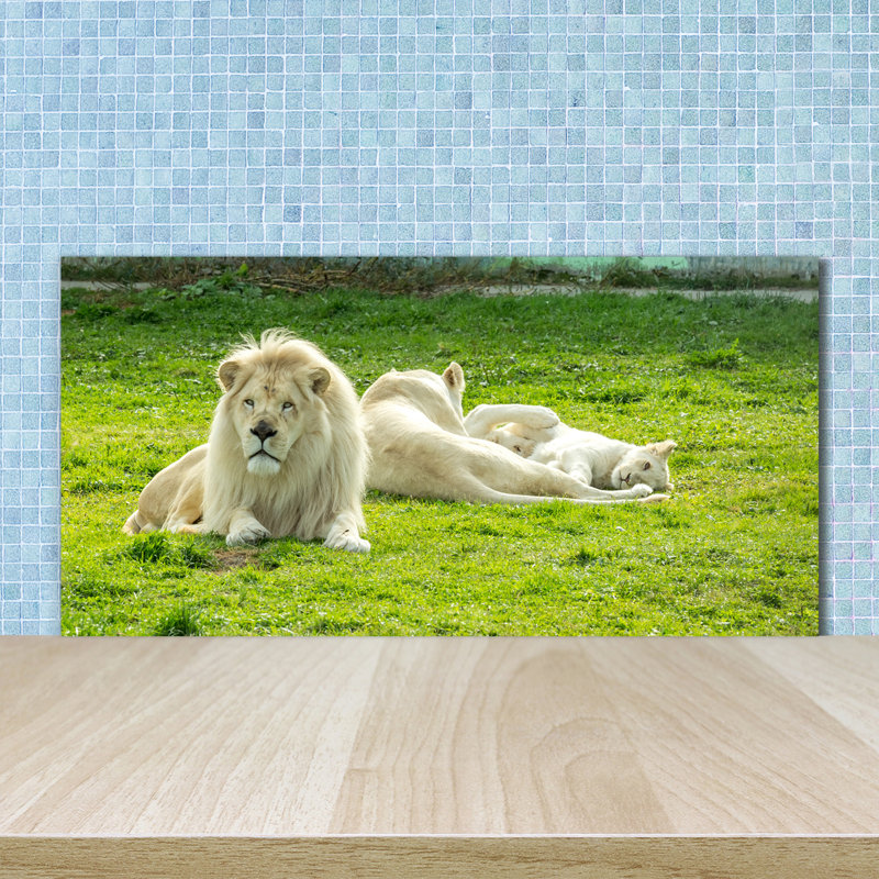 Liylah 50cm W x 100cm L Glass Peel and Stick Panel