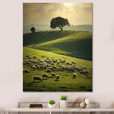 " Pastoral Bliss Sheep Landscape II " Color Photography Print