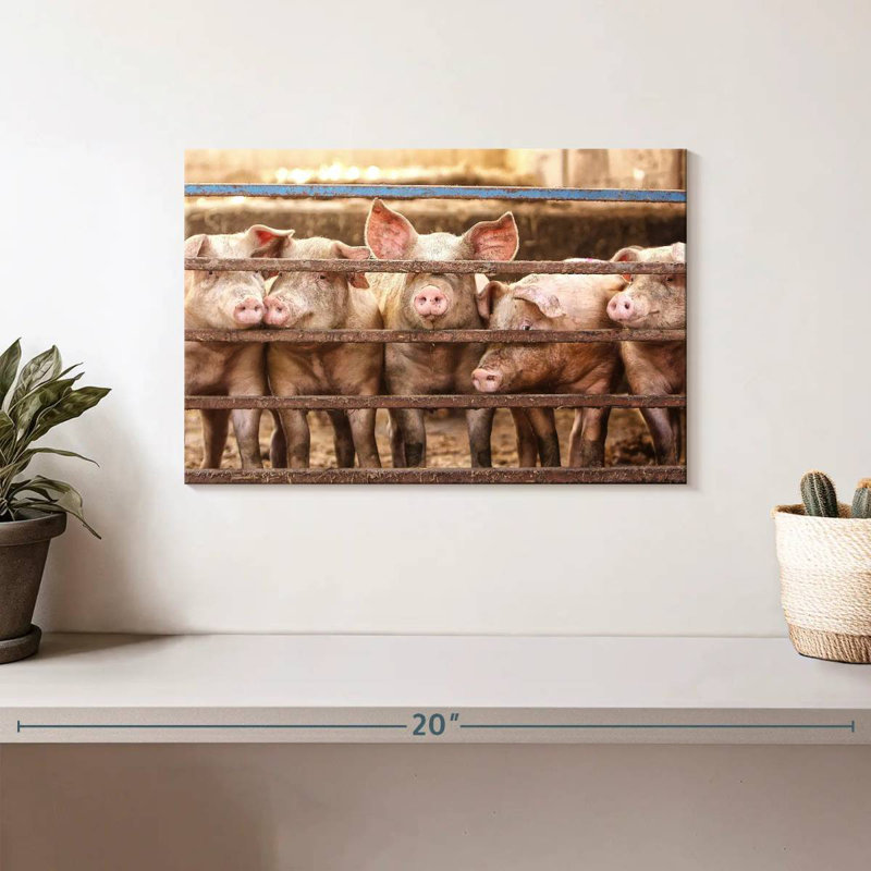 Brampt Pigs In Cage, 8" H x 12" W