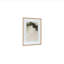 Espira Framed Print