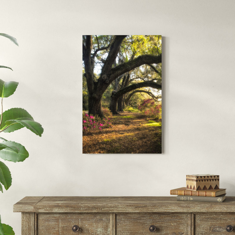 Under The Live Oaks II, H 30 po x l 20 po x P 1,25 po
