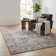 Zehorit Machine Washable Vintage Area Rug For Living Room, Hallway Runner, Entryway Rug