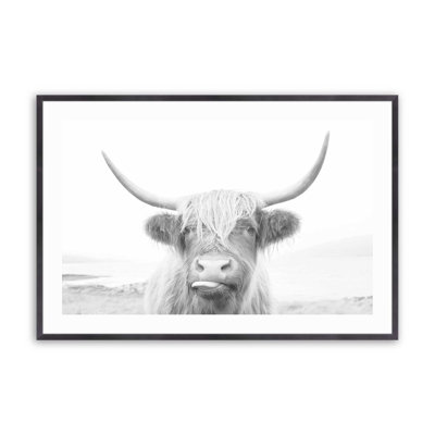 Playful Highland Cow Print
